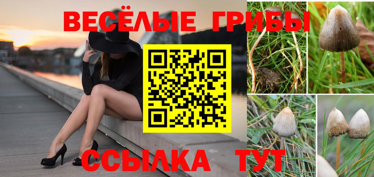 Псилоцибиновые грибы MAGIC MUSHROOMS  Псилоцибиновые грибы Psilocybe  что такое наркотик  Вход с VPN  Советская Гавань 