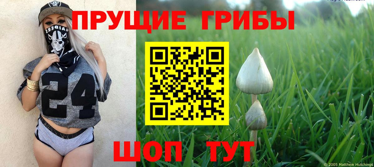 Галлюциногенные грибы прущие грибы Советская Гавань